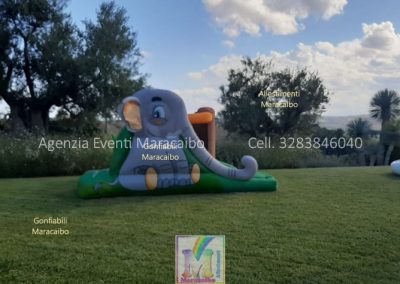 Allestimenti tema giungla addobbi palloncini animali giungla evento compleanno tema safari Osimo Castelfidardo Recanati